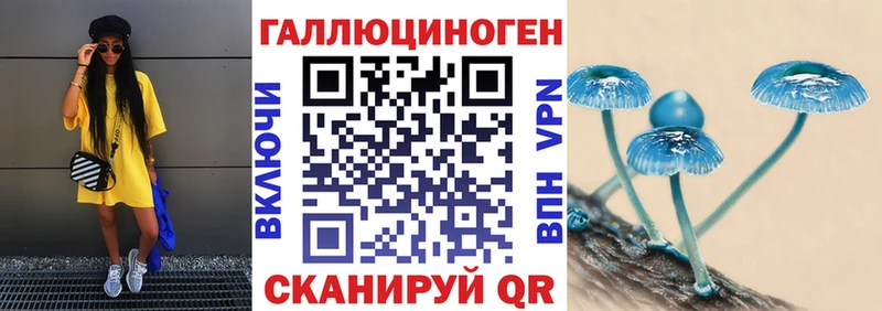 KRAKEN как зайти  цены   Верея  Псилоцибиновые грибы ЛСД 